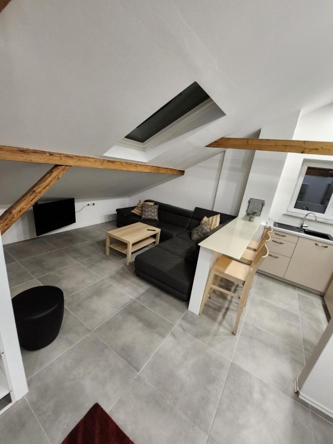Bone Ma Apartment Bad Saulgau Ngoại thất bức ảnh
